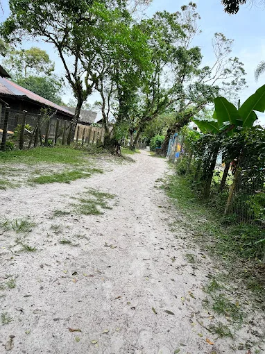 área externa casinha da teca