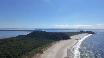 Vista aérea de uma praia extensa, com faixa de areia clara, mar azul e vegetação rasteira que avança até a mata. Uma trilha corta o terreno em direção à costa, sob luz solar intensa e céu limpo.
