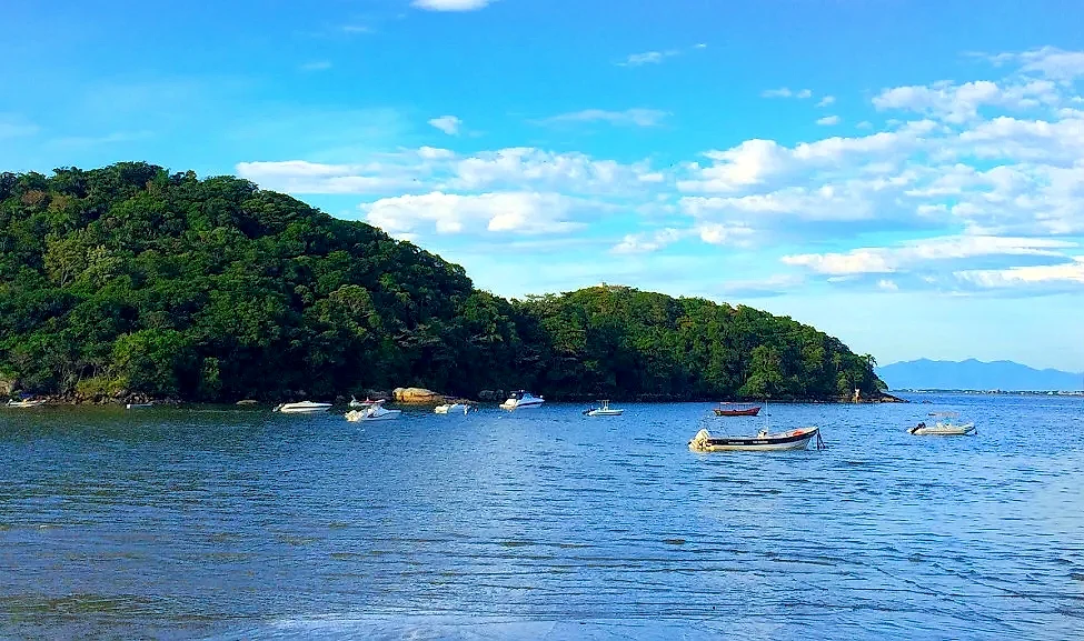 Barcos de pequeno porte flutuam em águas calmas diante de uma área de mata densa à beira-mar. O céu azul com nuvens esparsas e a luz clara do dia destacam os tons verdes da vegetação e o azul da baía.