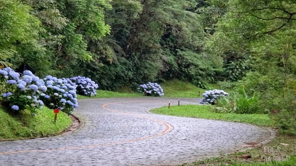 Ho To duda de placa mercosul moto  Sem sair de casa