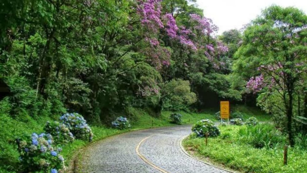 Estrada da Graciosa - Guia da Ilha do Mel