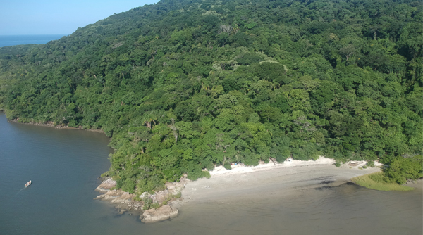 Praia do Bananal - Ilha do Mel 