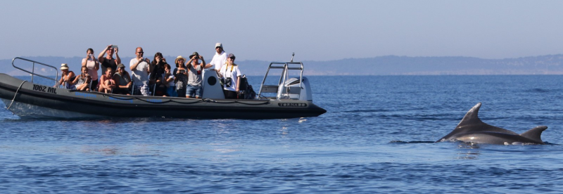 família fazendo passeio de barco na ilha do mel